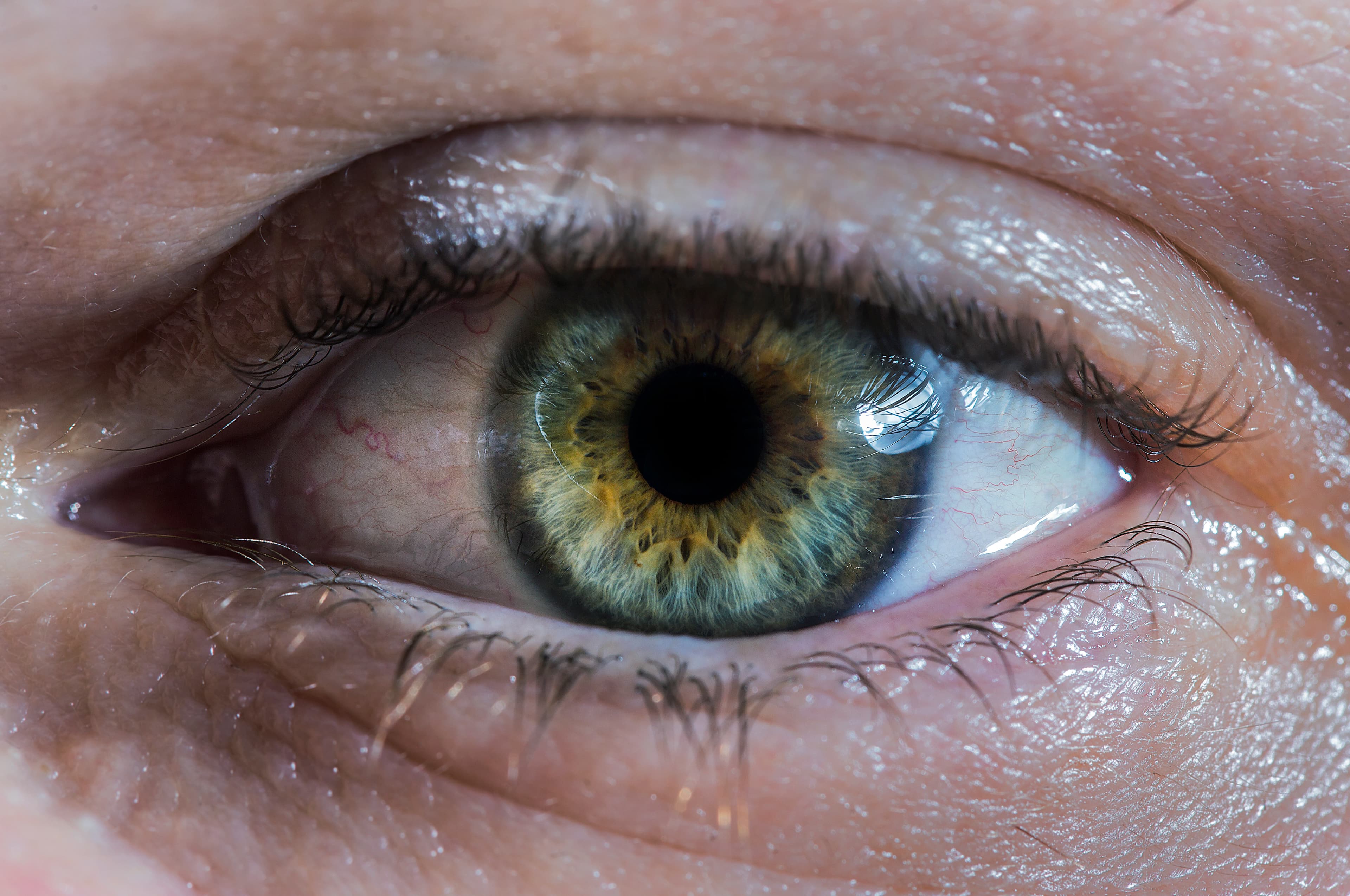 Zero State Reflex — Blog